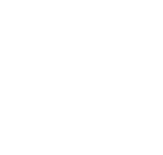 Winter Fever Arena